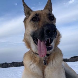 Meet your Posher, Grace